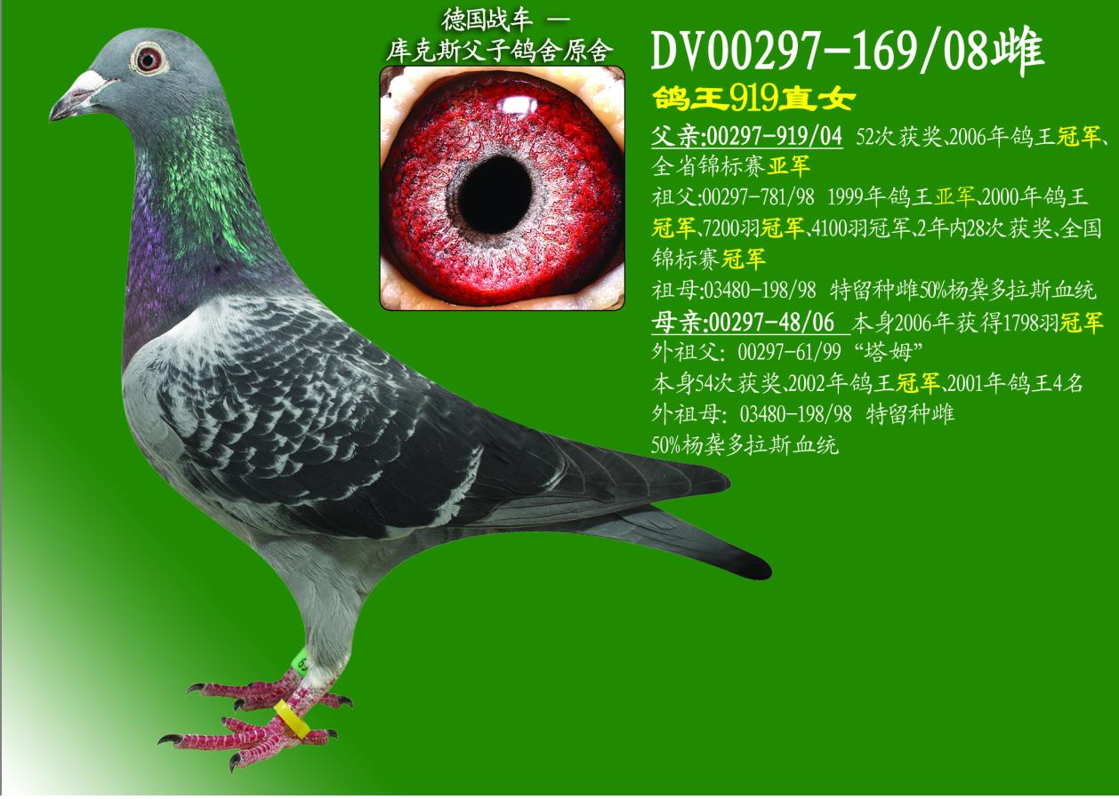 919ֱŮ