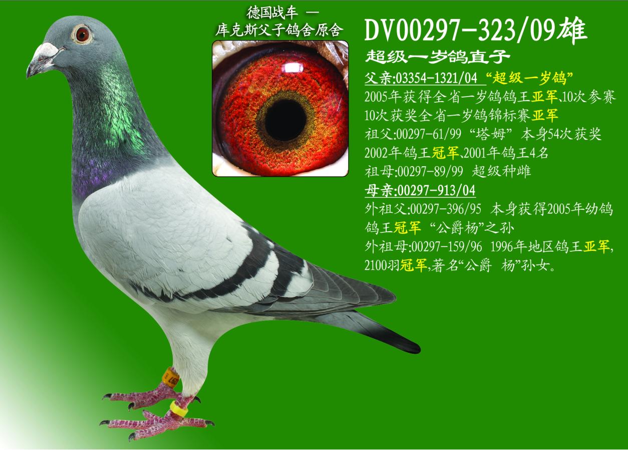 һqֱ