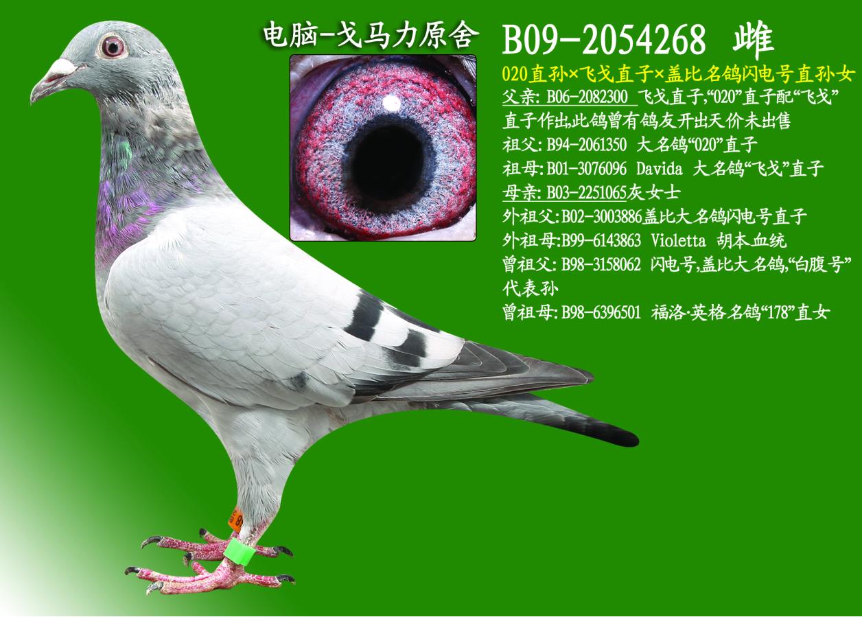 020ֱOwֱӡwW̖(ho)ֱO