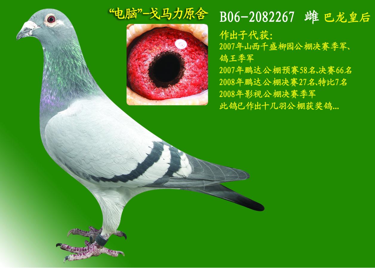 ʺ