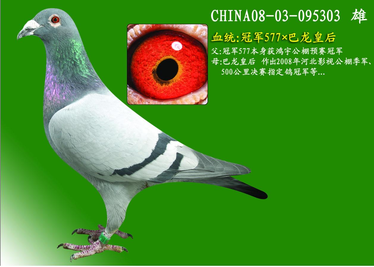 ܊577ʺ