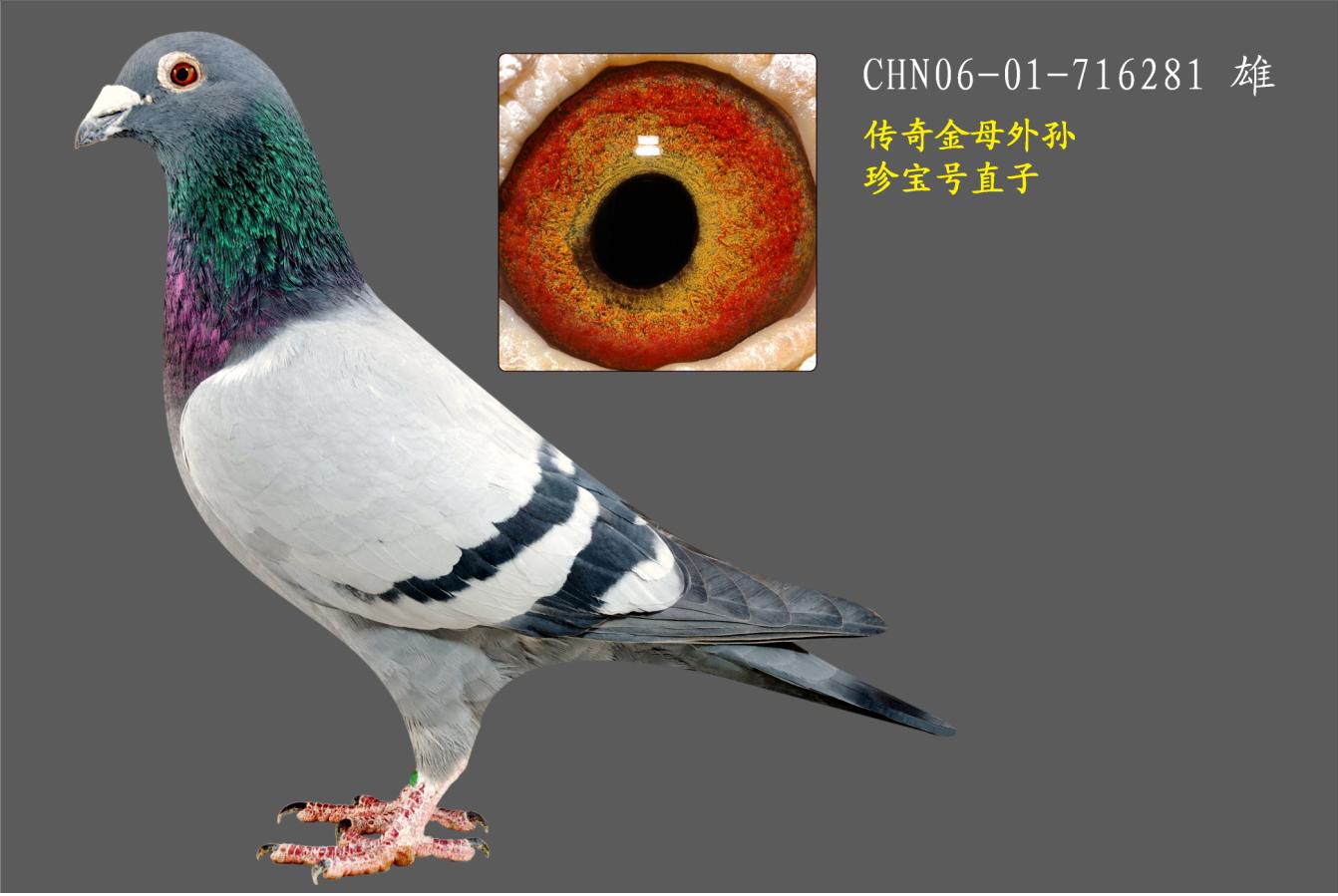䌚ֱ̖
