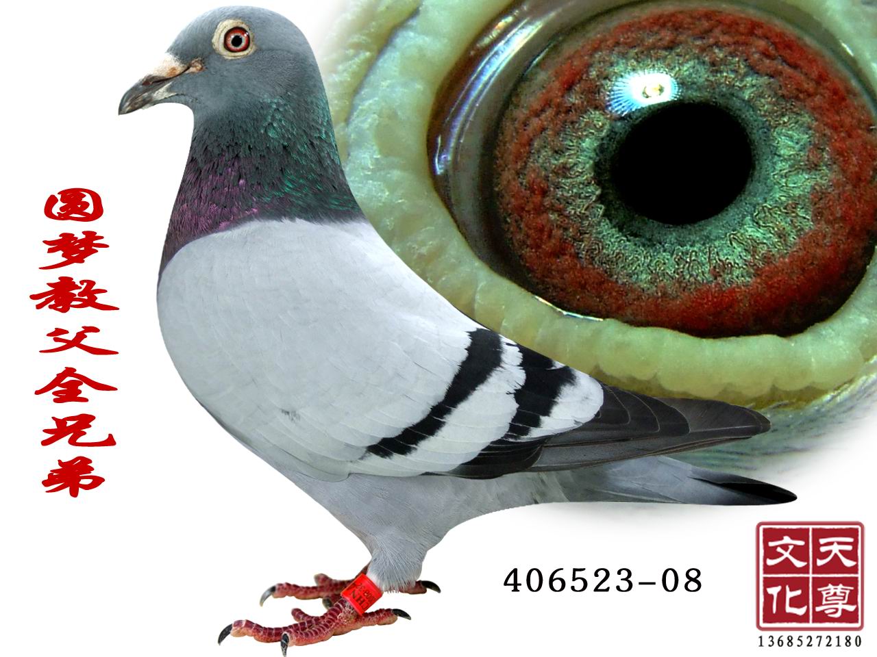 A(mng)̸ȫֵ