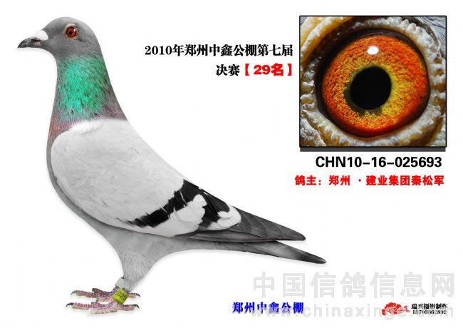 中鑫公棚决赛29名