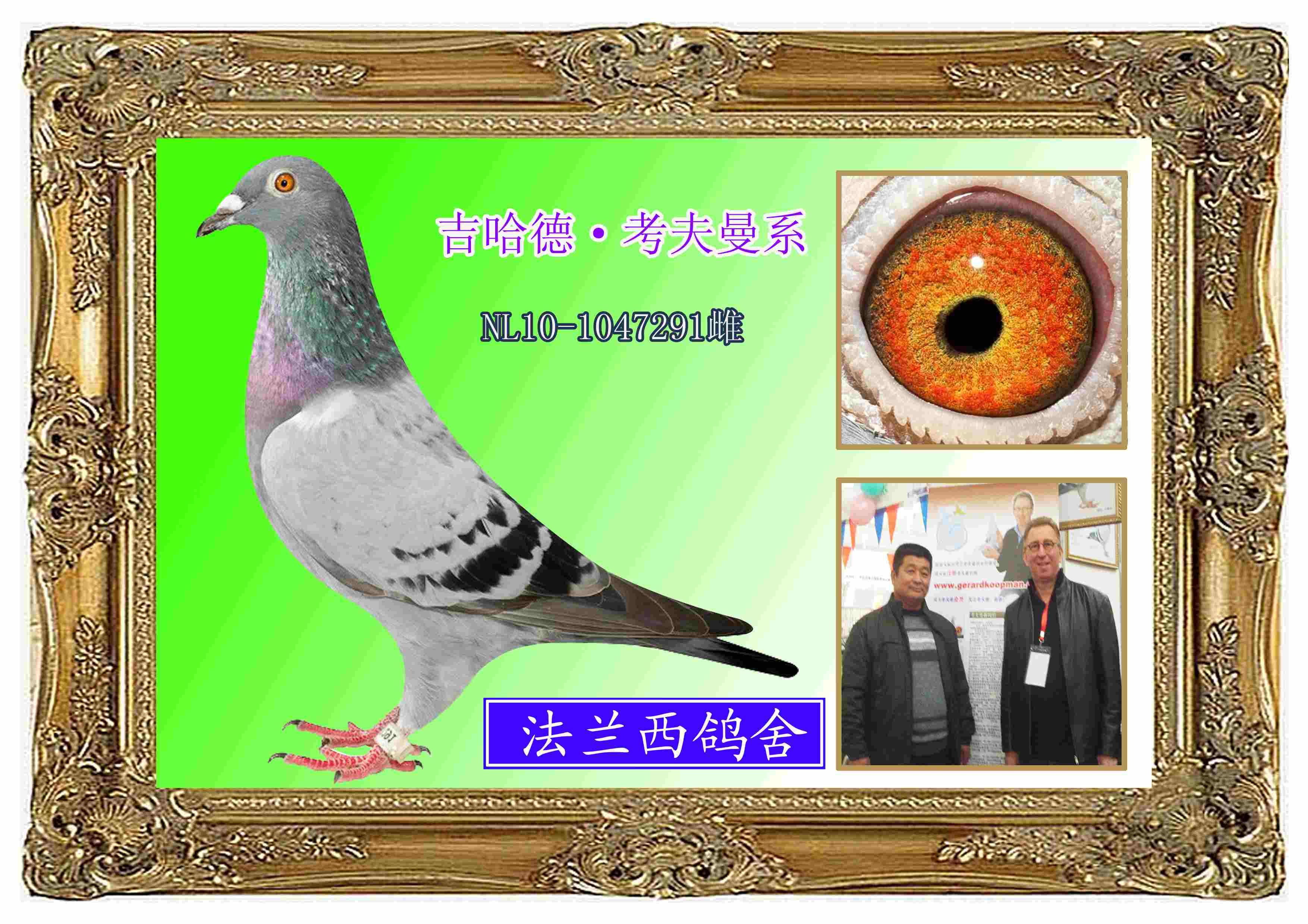 (mս)F(tun)(du)ɆT291