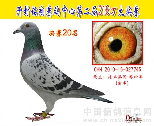 _蹫Qِ20