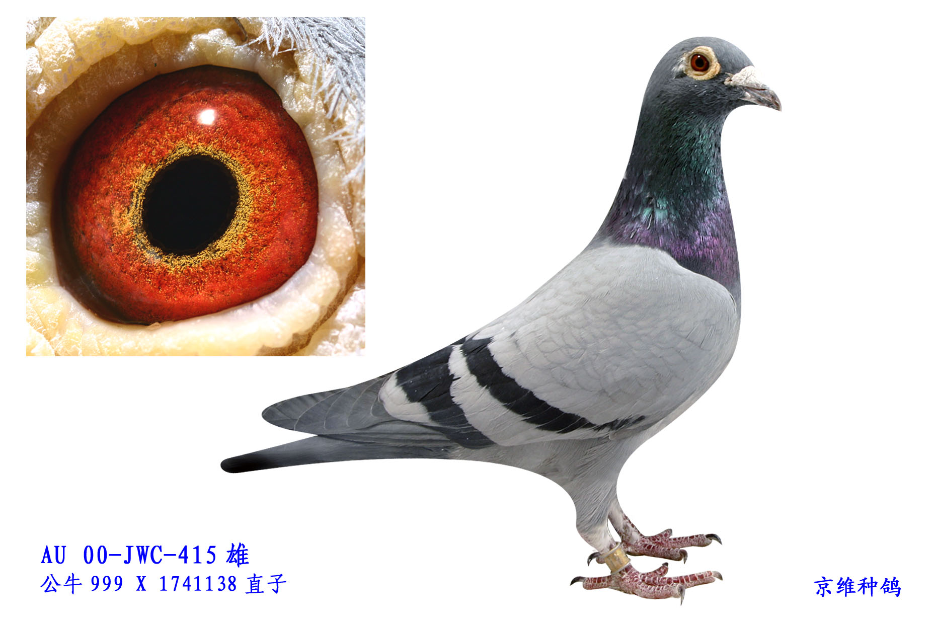 ţ 415/00 