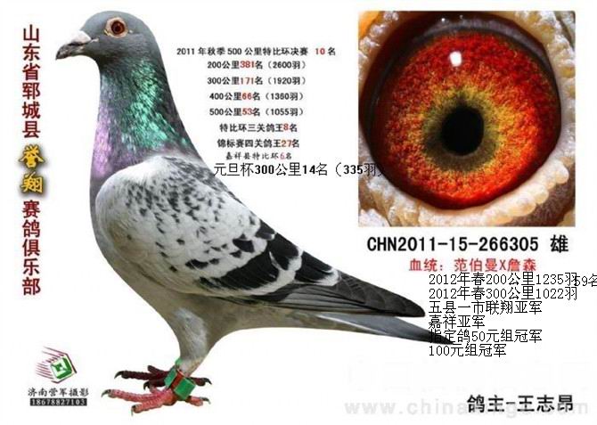 hһ(lin)迂܊رۣ