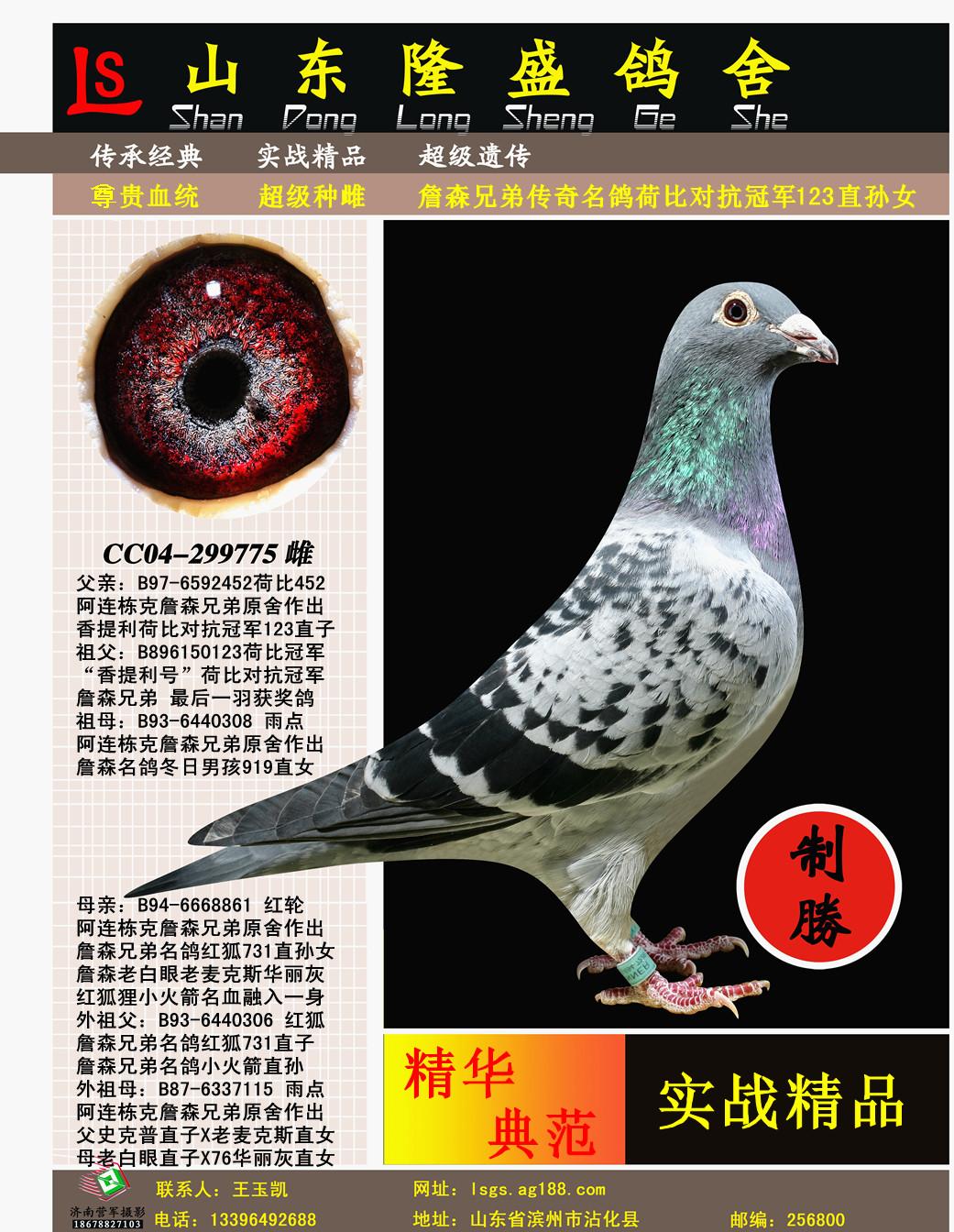 �ɱȶԿ��ھ�123ֱ��Ů