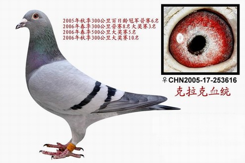 g܊۱