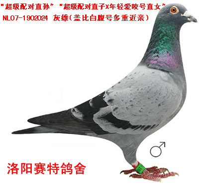 w-䌦ֱO䌦ֱX