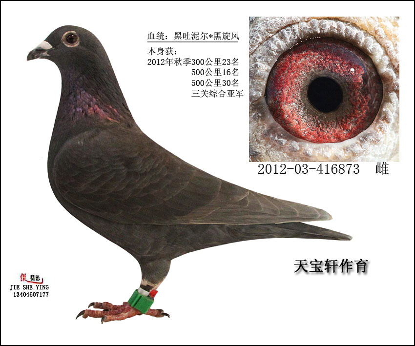 ���P������܊