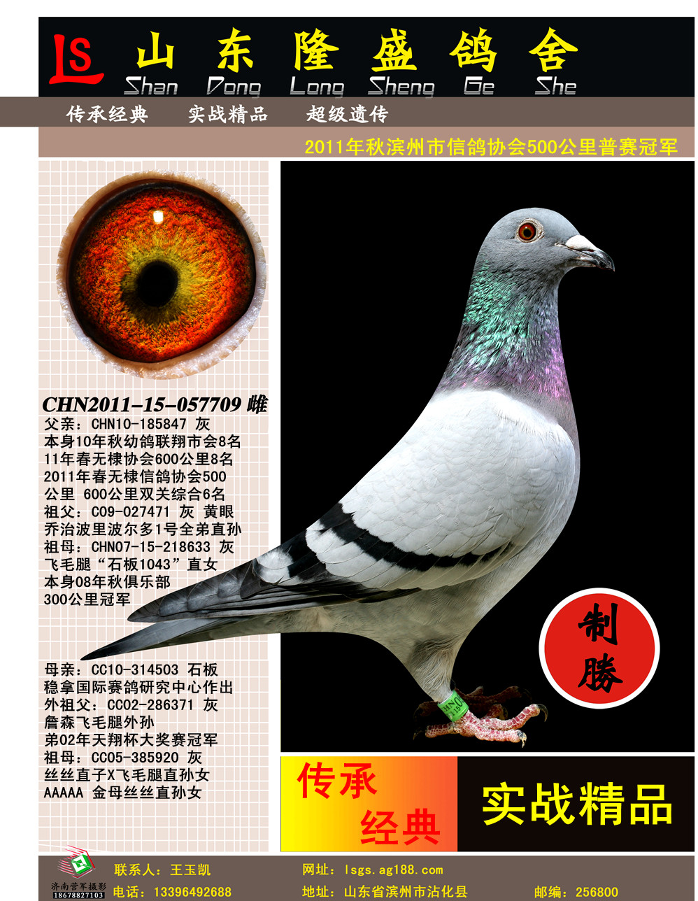 ������Э��500����ھ�