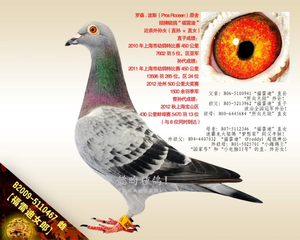 ׵Ůɡ׵ϡѪOŮ