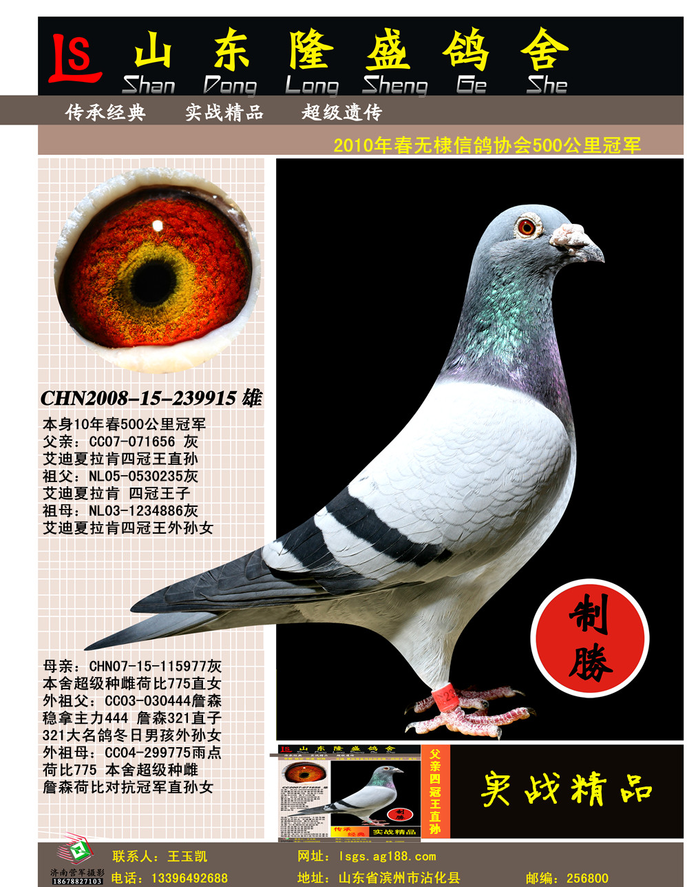 500����ھ�