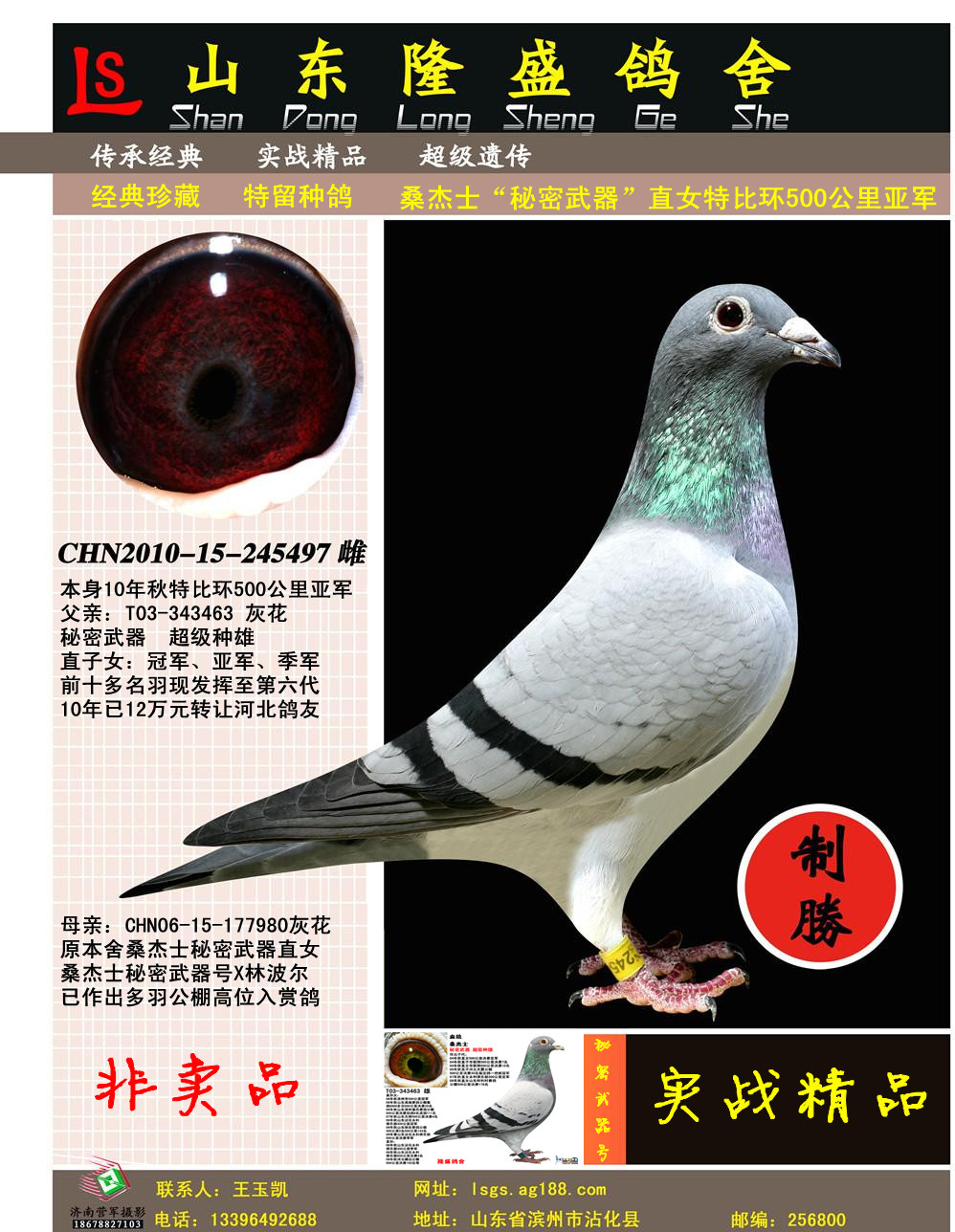 �رȻ�500�����Ǿ�