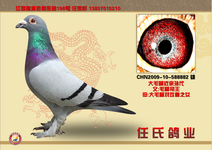 闻篮球鞋白袜子帅哥_帅哥的臭脚_吃警察帅哥白袜子 ...