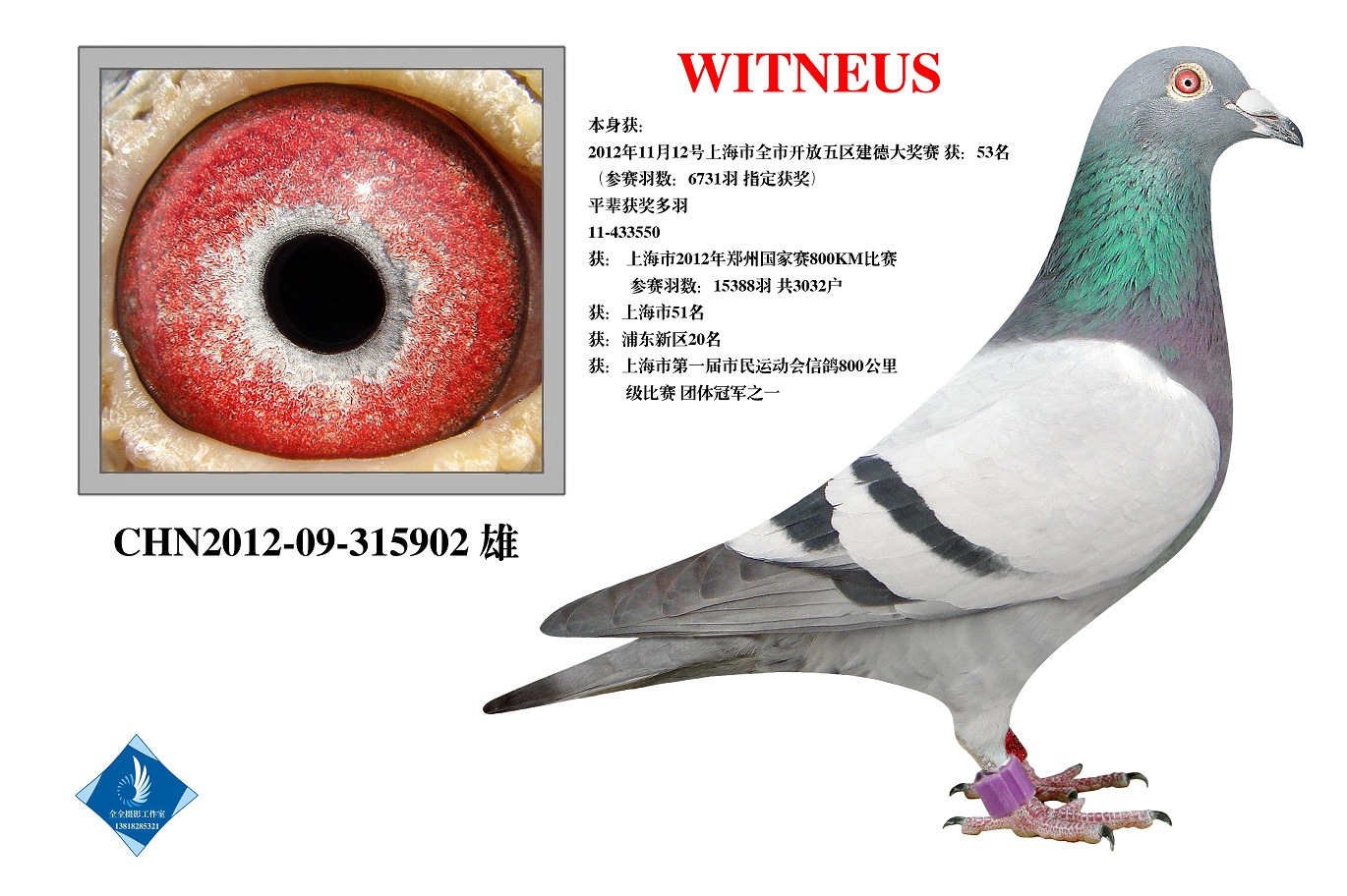 ʿ_ɷ D(zhun)ղ