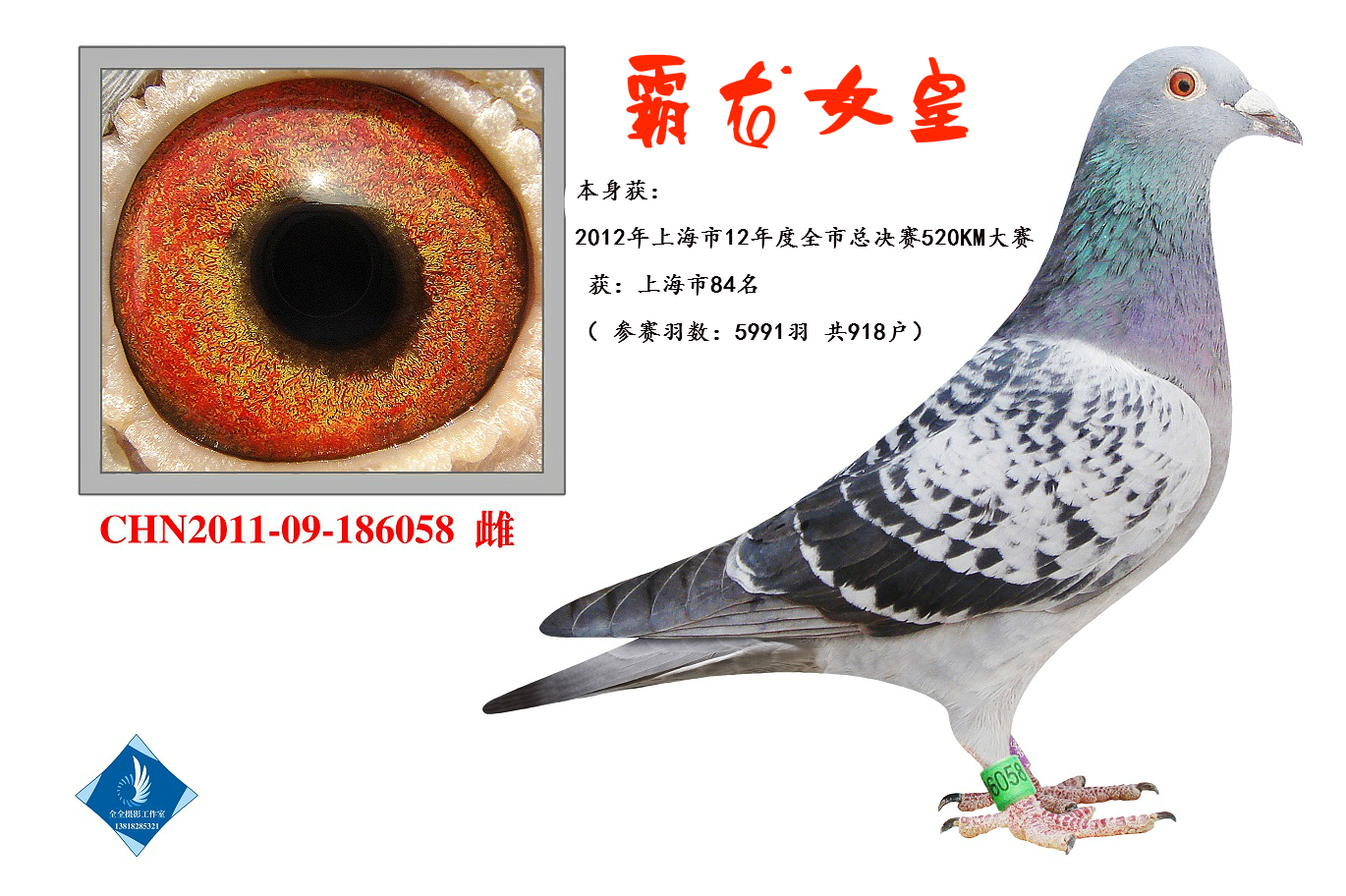 Ů  D(zhun)