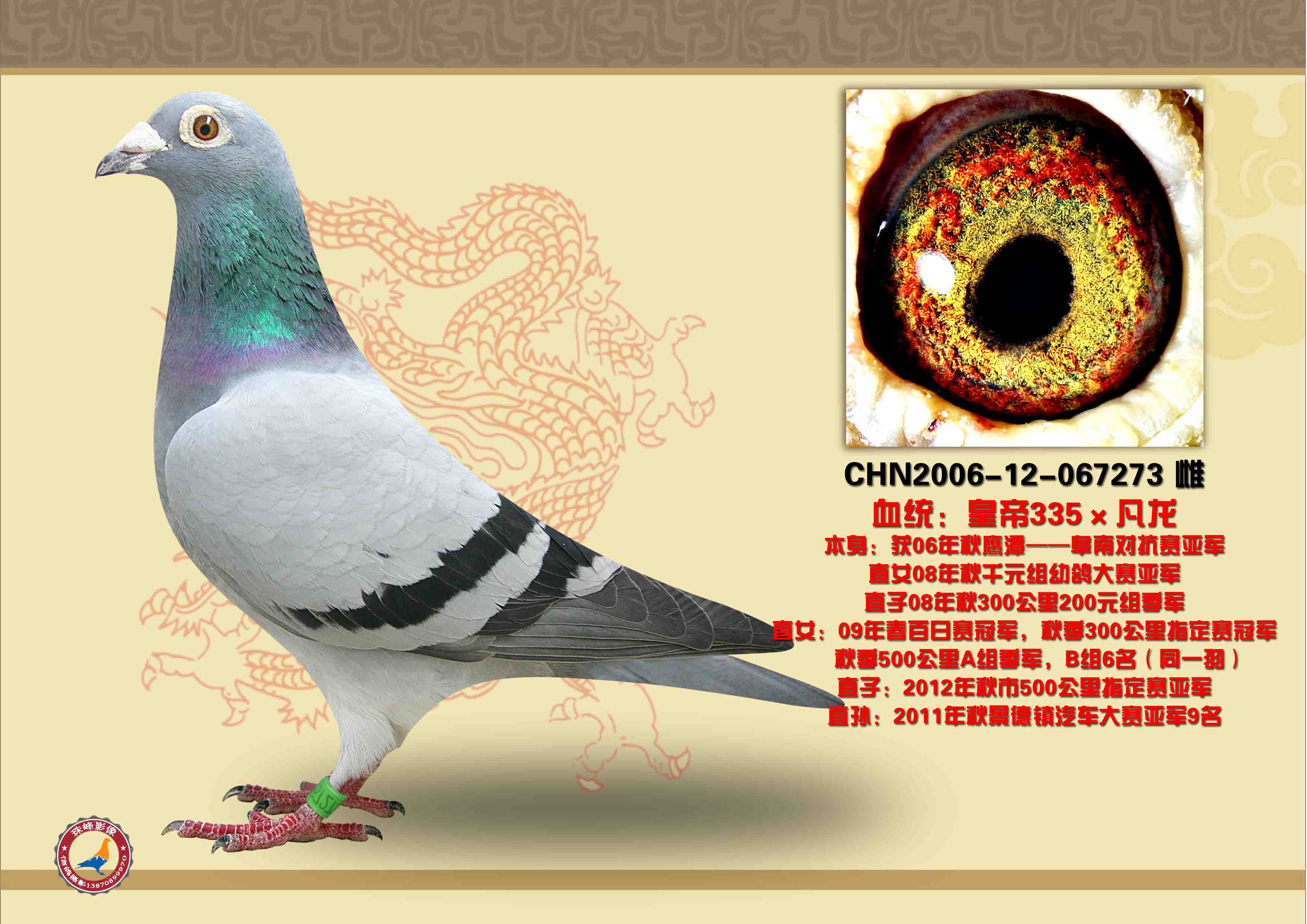 ِ܊ʵ335Ů