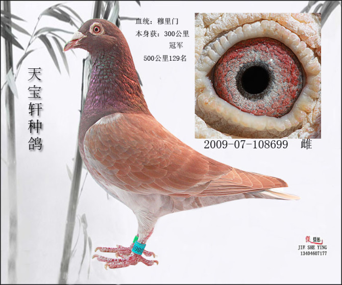 Ļ���T���P�ˣ�300�����܊��