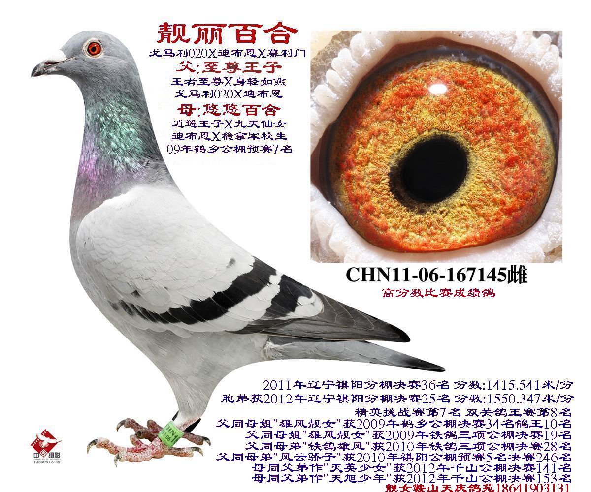 20130112115954.jpg