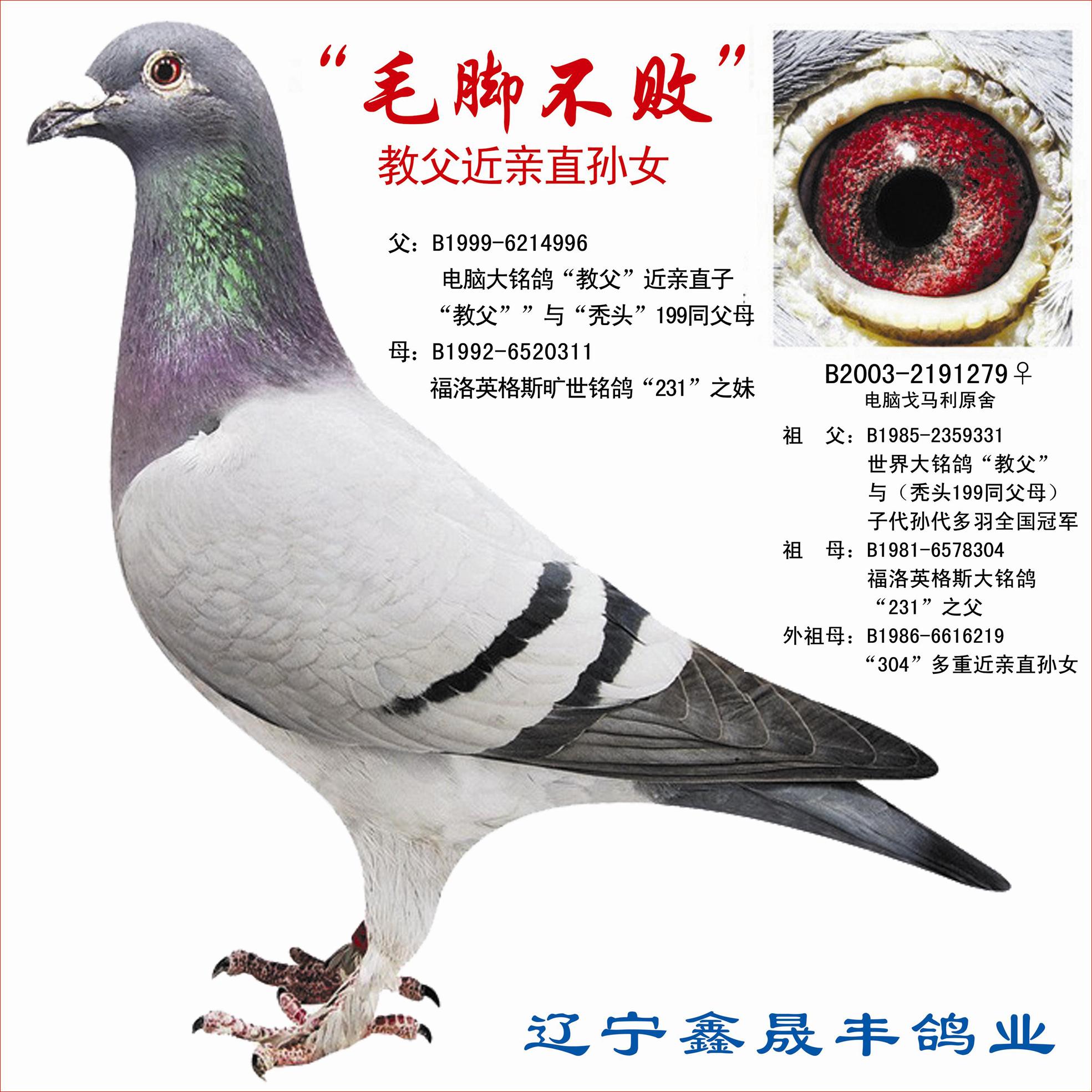 戈马利"毛脚不败"(波治先生第一夫人)