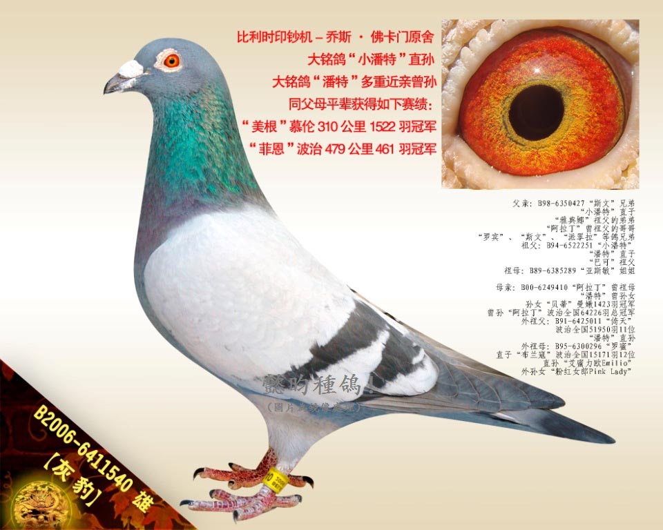 ұСءֱO
