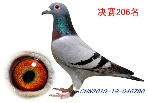 2010206