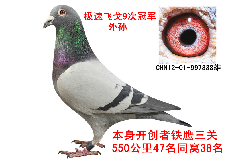OwŴι܊OD(zhun)׌