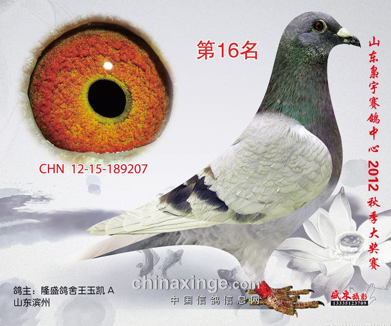 ɽ����������16��