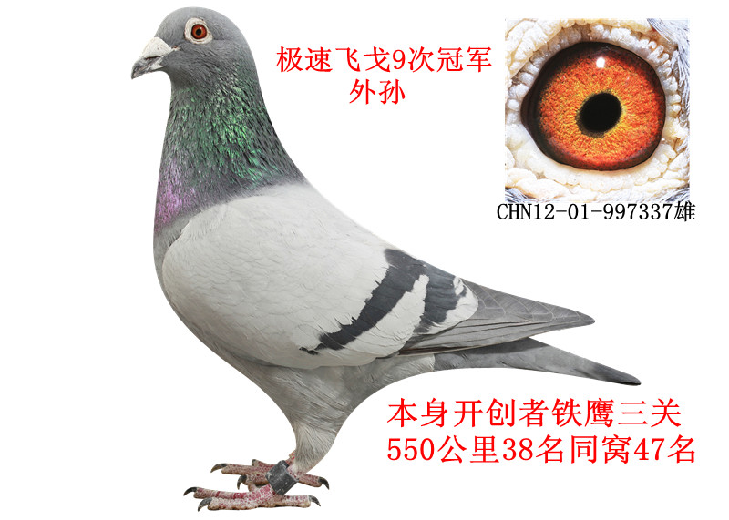 OwŴι܊OD(zhun)׌