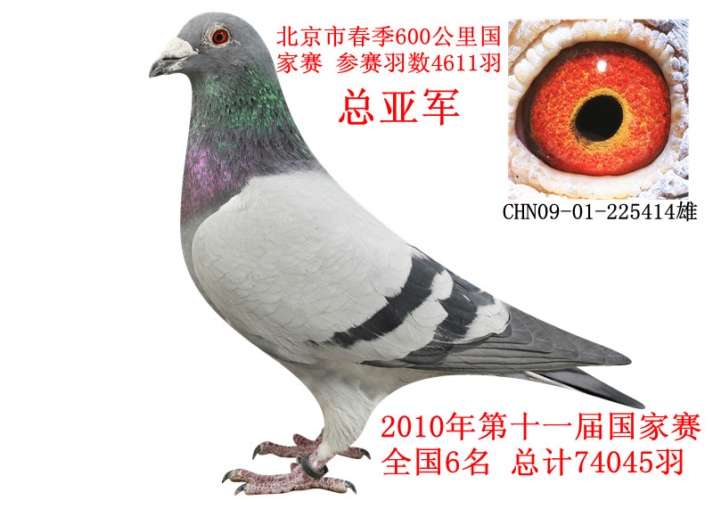 дِ600ￂ܊D(zhun)׌