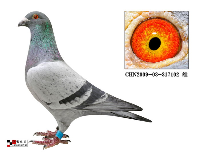 217