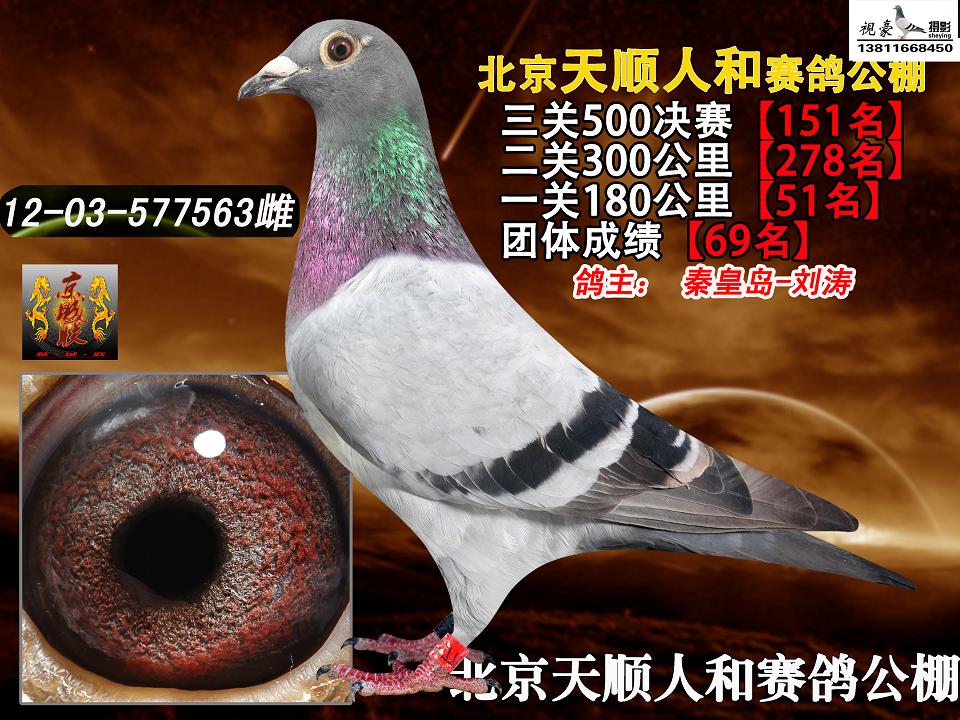 2012걱˺͹Qِ151