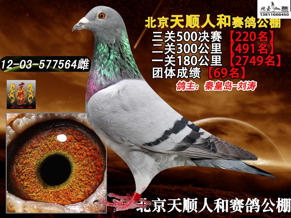 2012걱˺͛Qِ220
