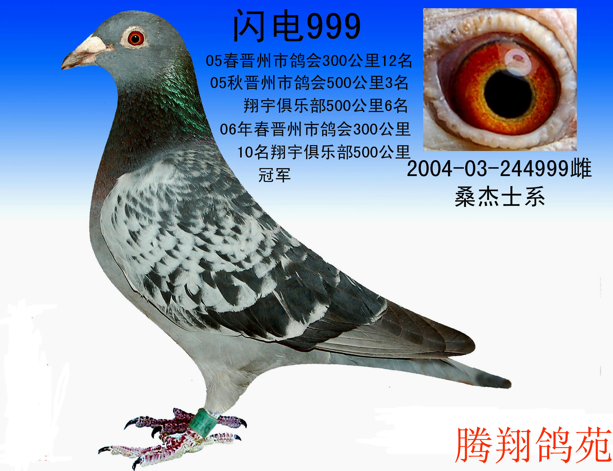 桑杰士999