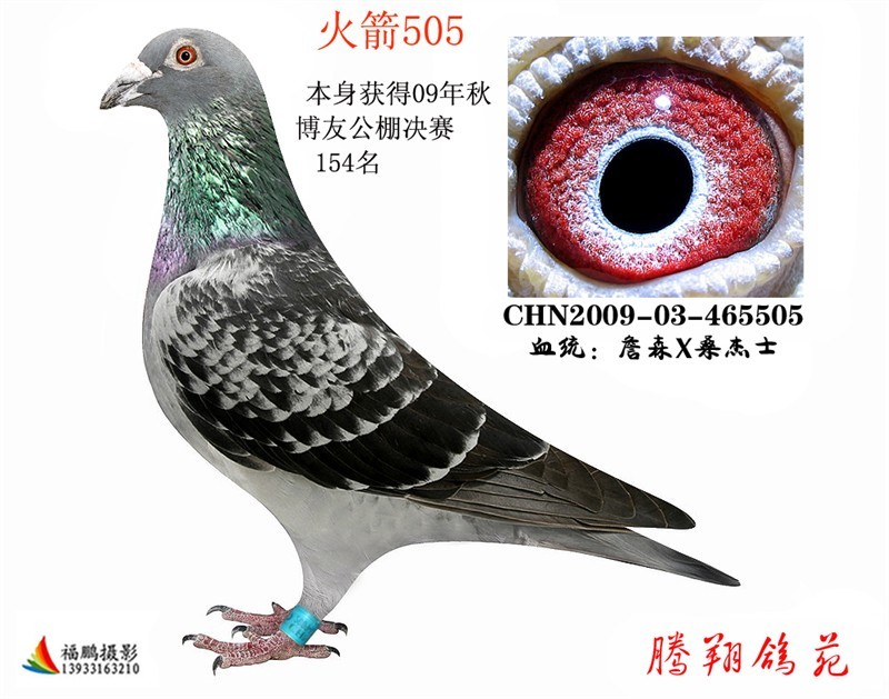 ɣʿ505