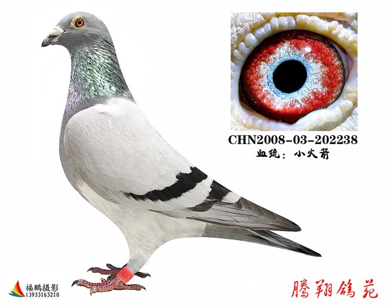 ղɭС38