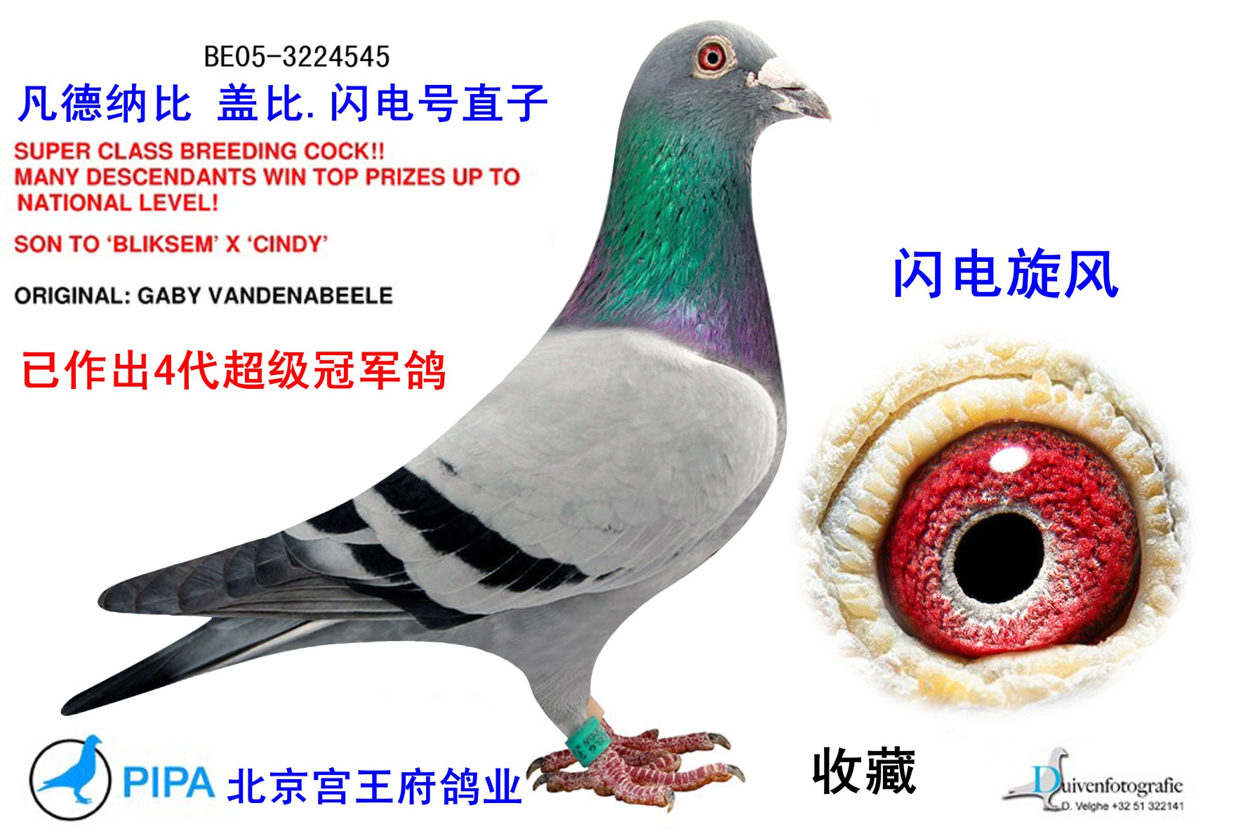wȷǡWֱ̖.WL̖