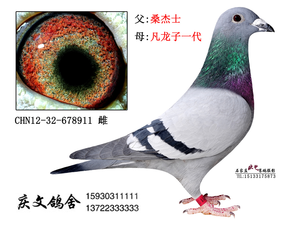 ɣʿ