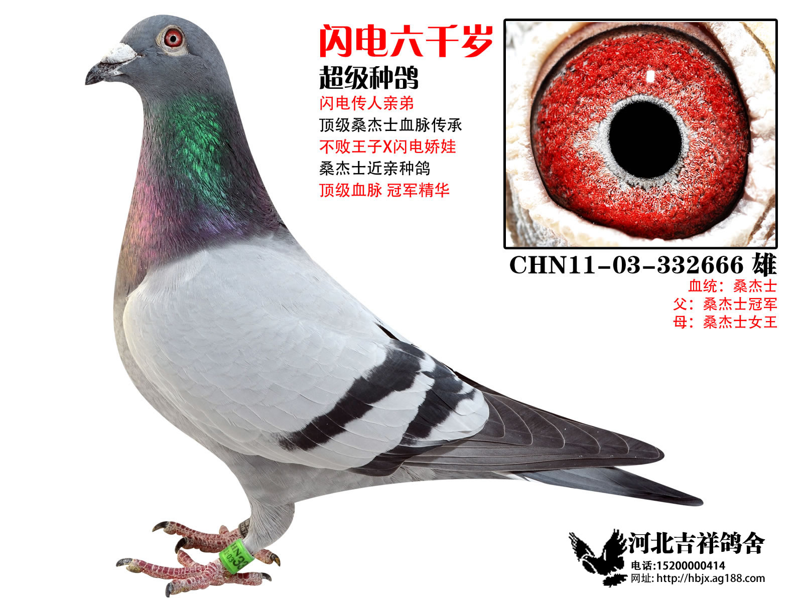 W늋 Wǧq