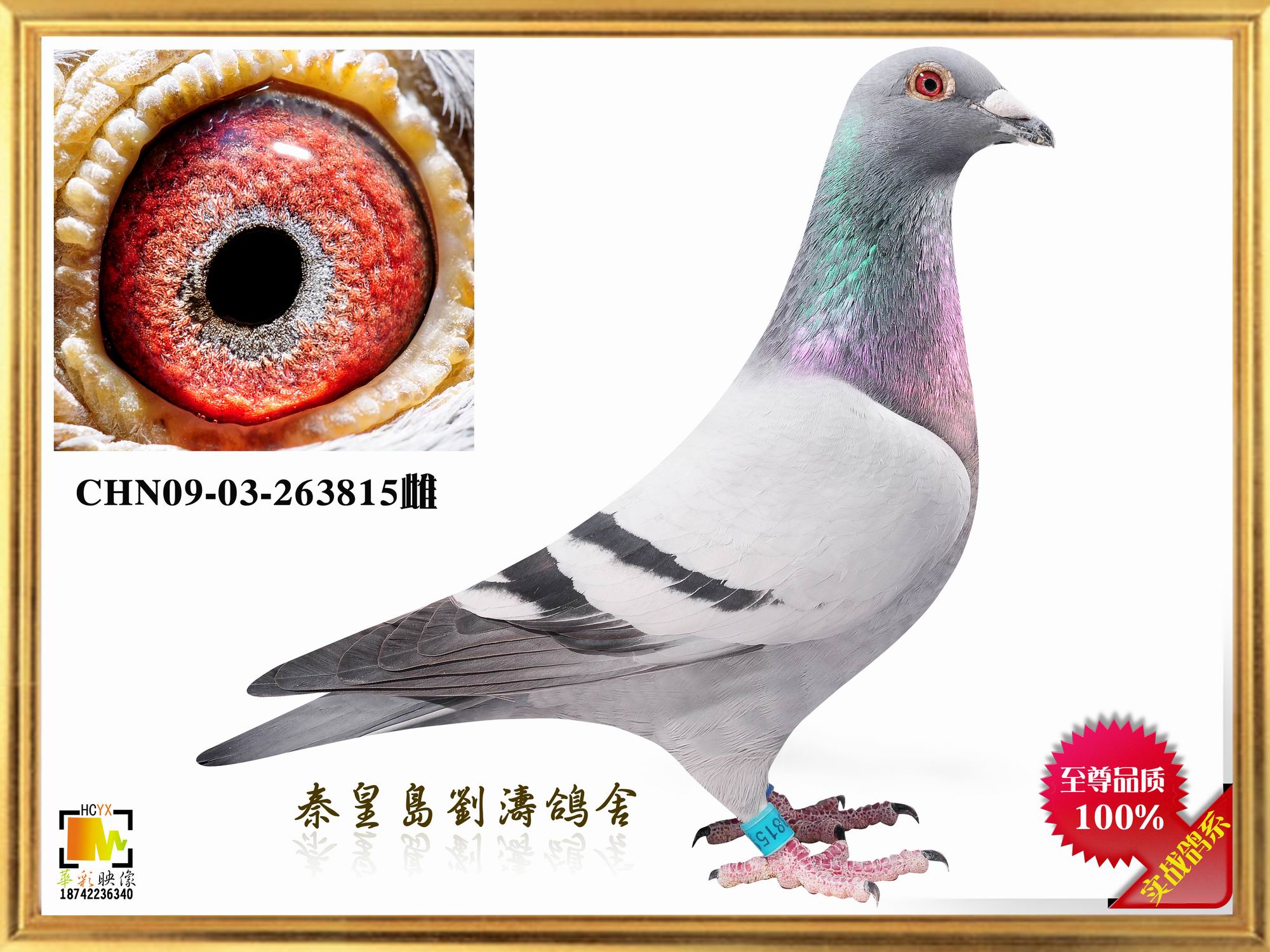 12BOBĴ50011ĸH