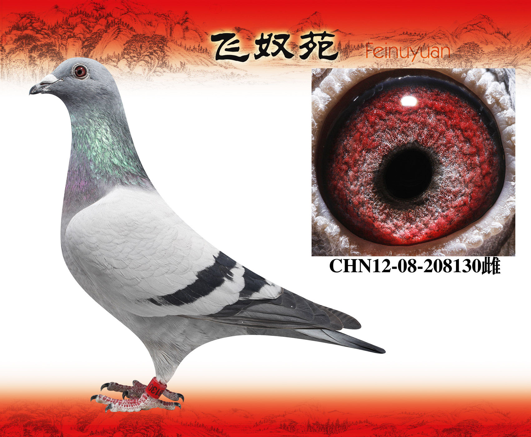 ˹Ѓ(ni)Ɓ130ʼKI(lng)ȫۣ