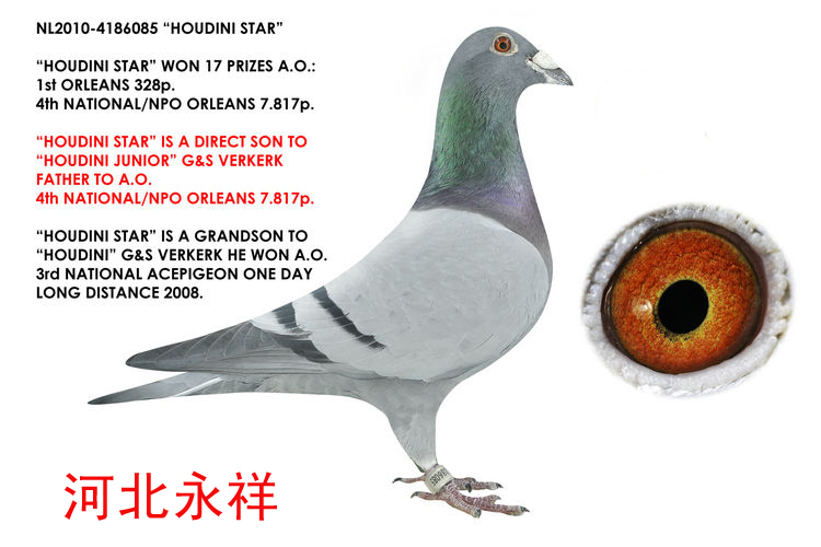 СϿˊWȫ4λD(zhun)׌