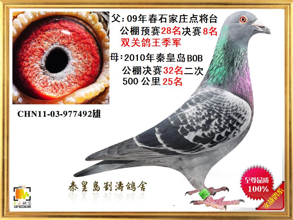 Ѫ