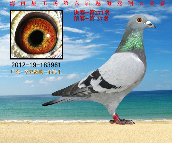 ǹ183961