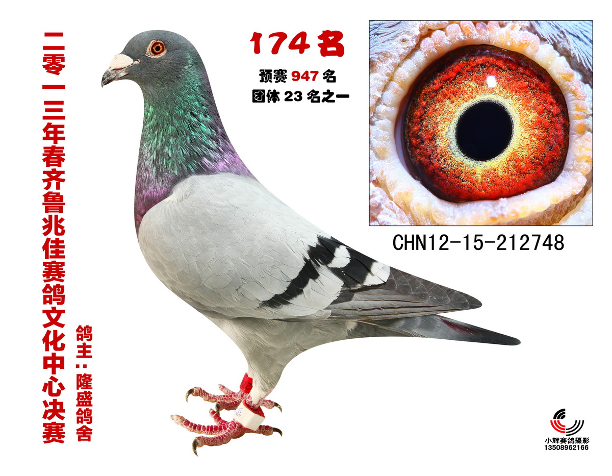 ��³�׼Ѵ������174��