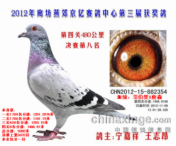 ȷོQِ8(Hһ