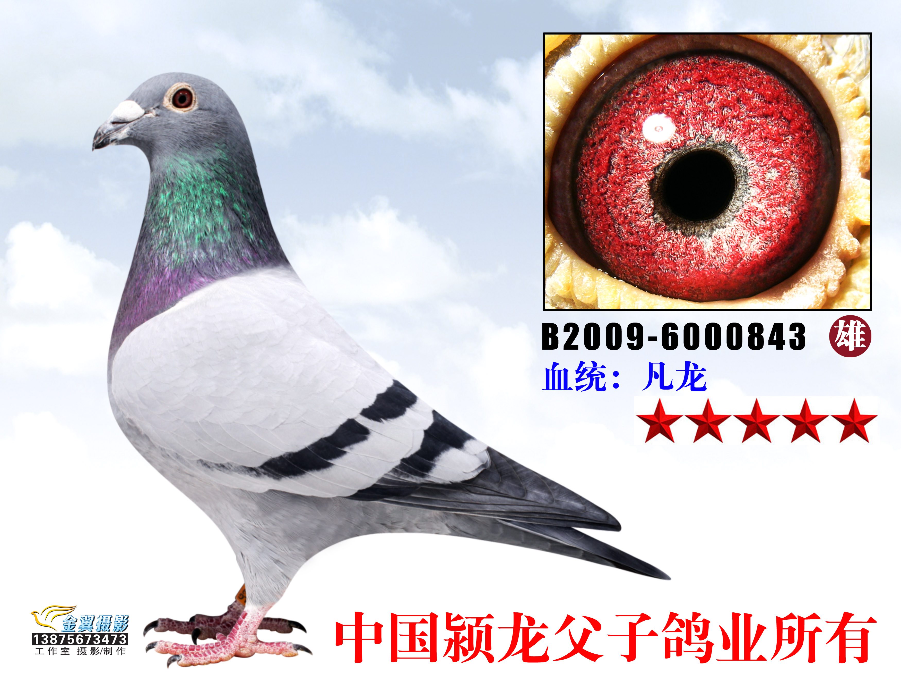 凡龙843